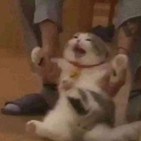 再不上学人