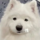 柚子终结者