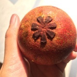 沉香木好