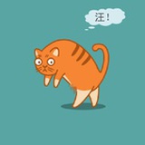 胆小の猫
