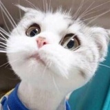 阿西吧