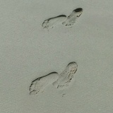 秋风会哭泣