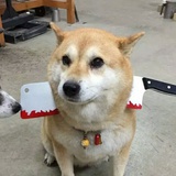 大魔王迪迦