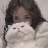 问安-