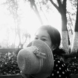 胡桃夾子.
