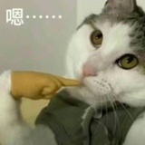 今天喝美式了吗