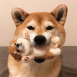 一夜失眠