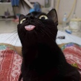 吉吉