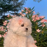。
