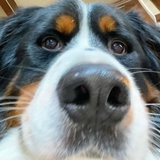 按时熬夜不吃饭