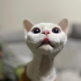 一零同学