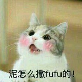 雪球球球