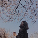孟咸鱼_