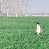 甘橖