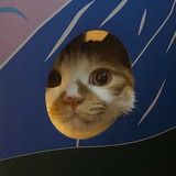 ￫ܫ￩