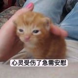 噜噜