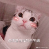 柠檬味