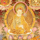 吾皇大大