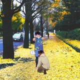板来板去