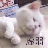 已注销