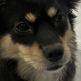小雨