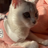 七零八落的咖啡