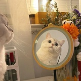 一猜你就猜不到