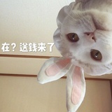 芒果蘸酱油