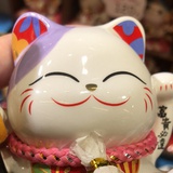 无糖乌龙茶
