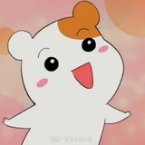 Youi
