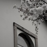 澈