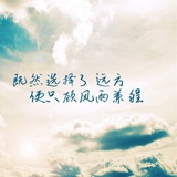 风