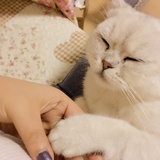 大大
