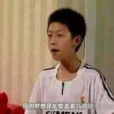 年轻人马走日