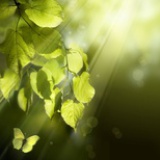 FlowSun
