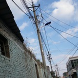 发条葡萄
