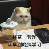 中嗑院在读博士