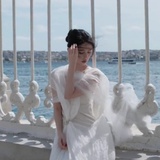 🔸💎李🔹飞💎🔸