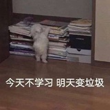 看到让我去学习