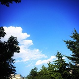 天上起云云起花