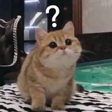 红糖豆奶