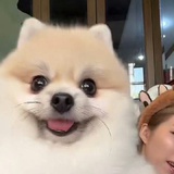 崩溃了