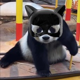 Y-sgagaga