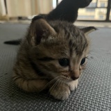 豆友131744803