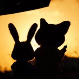 超超超爱拖的柒