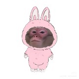一条闲鱼🐟