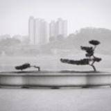 肠儿