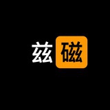 兹磁