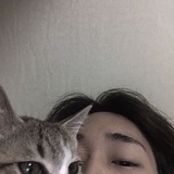 惨绿青年