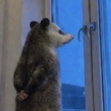 早晨入口